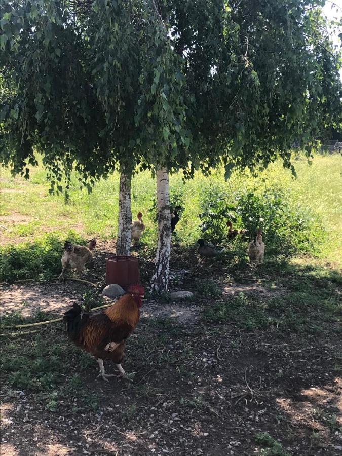 La Massoterie Gite 1 Theza Εξωτερικό φωτογραφία
